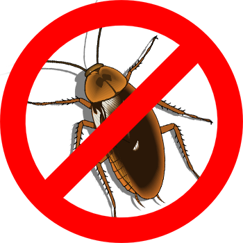 Уничтожение тараканов в Новосибирвке
